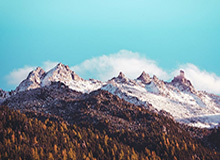 九游体育网站：用数据与热情点燃你的赛场体验